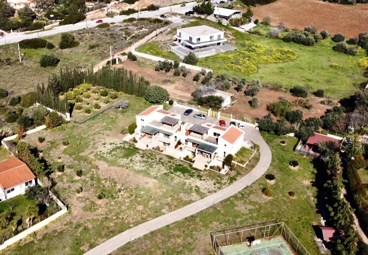 Legrena Beach Villa Szúnio Kültér fotó