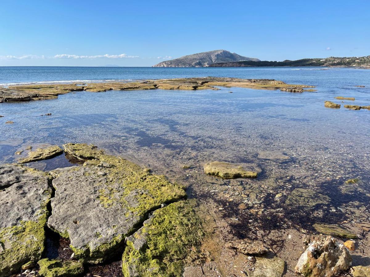 Legrena Beach Villa Szúnio Kültér fotó