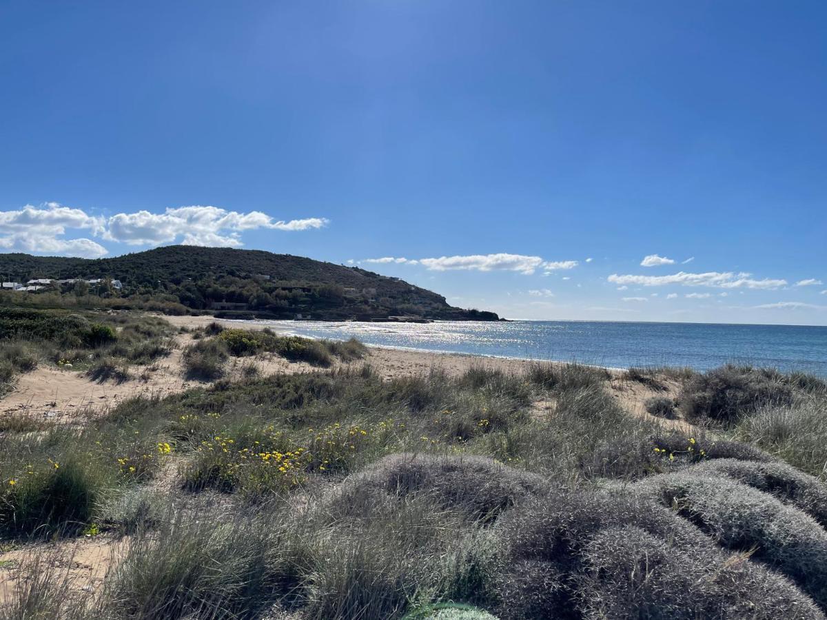 Legrena Beach Villa Szúnio Kültér fotó